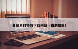 台州白鹅素材特效下载网站（白鹅摄影）